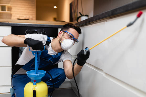 Best Termite Control Services  in Harper, KS
