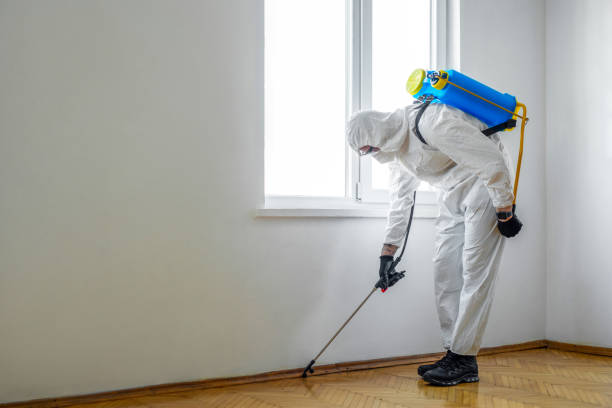 Best Exterminator Services  in Harper, KS