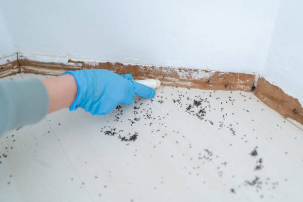 Best Best Pest Control Companies  in Harper, KS